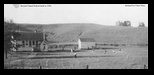 Hillestad and Cattle Family