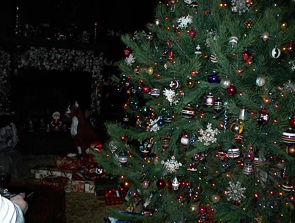 Christmas 2001