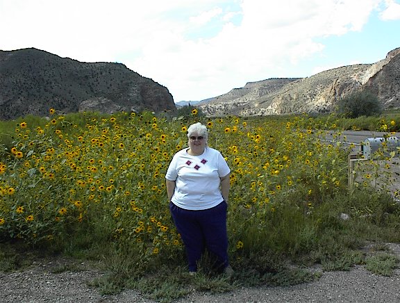 Gloria in a field of black eyed susans