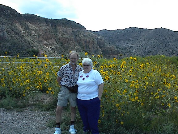 Field of Black Eyed Susans